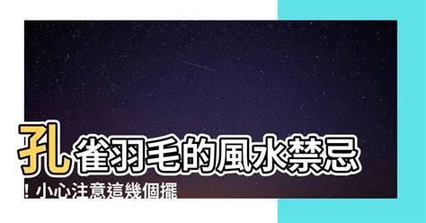 孔雀羽毛擺放位置